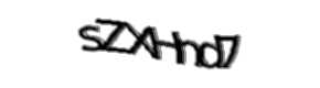 Security check image, please type the characters shown
