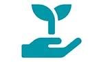 Seedling in hand icon