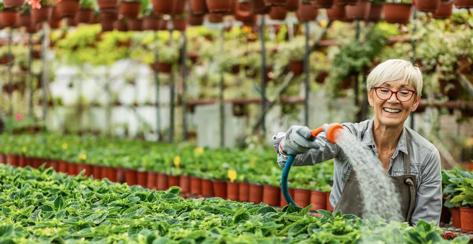 Woman watering plants