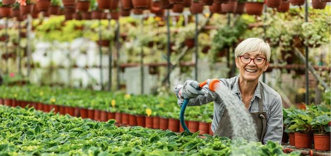 Woman watering plants