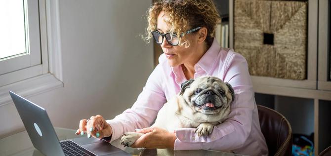 A woman sitting at a computer with her dog in her lap.