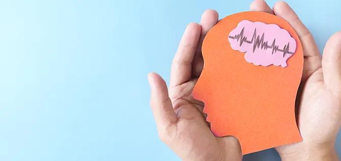 Hands holding human head profile cutout with healthy brain