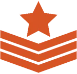Medal icon